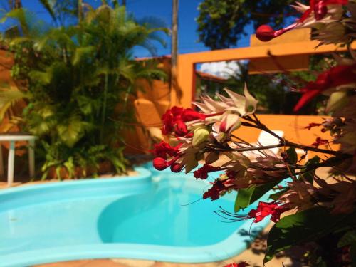 Фотография мини отеля Pousada Rota Tropicana