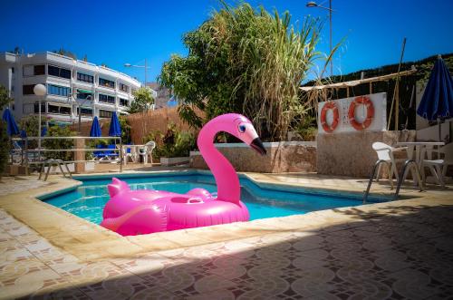 Фотография апарт отеля Calypso Oasis Apartments