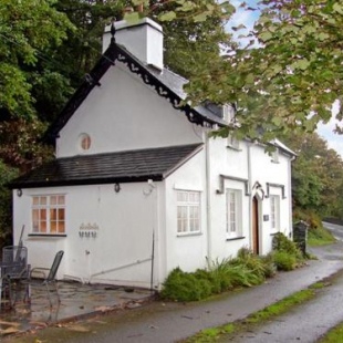 Фотография гостевого дома Braich-Y-Celyn Lodge
