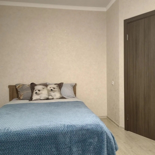 Фотография квартиры Апартаменты на улице Рогожникова 17