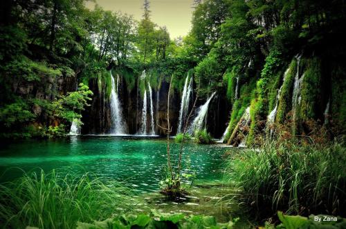 Фотография гостевого дома Villa Ruhige Lage 1