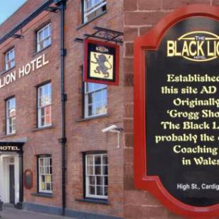 Фотографии гостиницы 
            The Black Lion Hotel