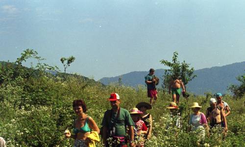 Фотографии гостиницы
Лесное