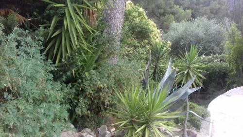 Фотография гостевого дома palayson two