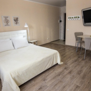 Фотография квартиры Апартаменты на улице Университетская Набережная 56