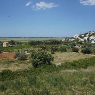 Фотография гостевого дома Iris