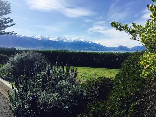 Фотография мотеля A1 Kaikoura Motel & Holiday Park