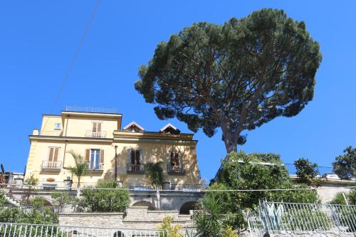 Фотография мини отеля Villa Di Natale