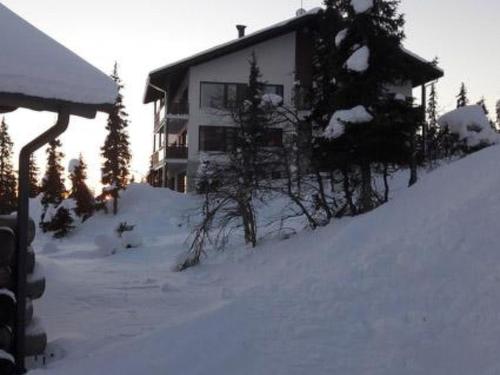 Фотография гостевого дома Holiday Home Villa ylläs 203