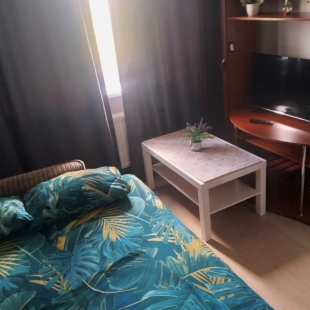 Фотография квартиры Квартира Forest Suites