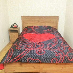 Фотография квартиры Апартаменты Малышева 84(1)