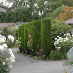 Фотографии мотеля 
            Admiral Motel