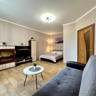 Фотография квартиры Квартира Однокомнатная Революционная 7