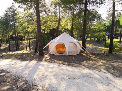 Фотография кемпинга Glamping OH Córdoba