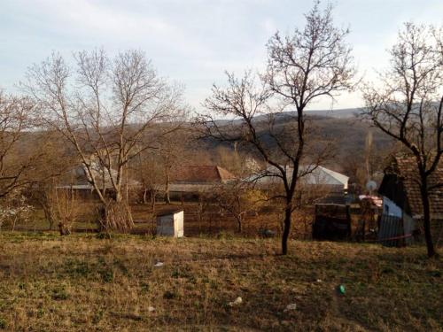 Фотография гостевого дома Jorjiashvili Guest House