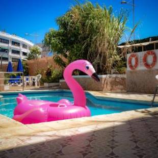 Фотографии апарт отеля
Calypso Oasis Apartments