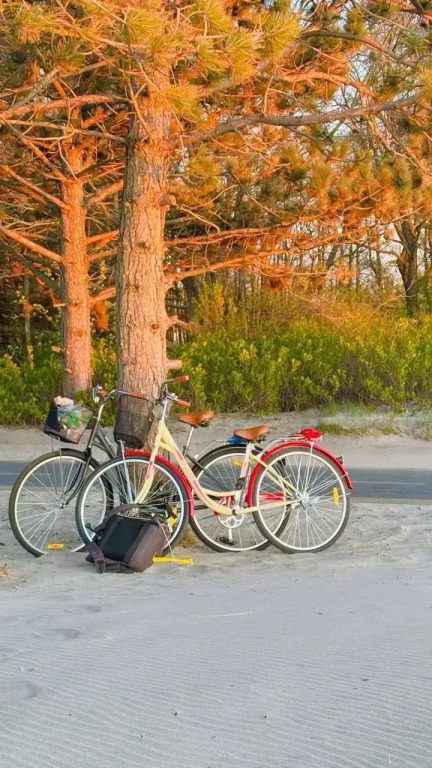 Фотография квартиры Апартаменты 39квартир с бесплатной арендой велосипедов