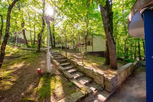 Фотографии базы отдыха 
            Золотой Колос