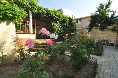 Фотография мини отеля Нантиа