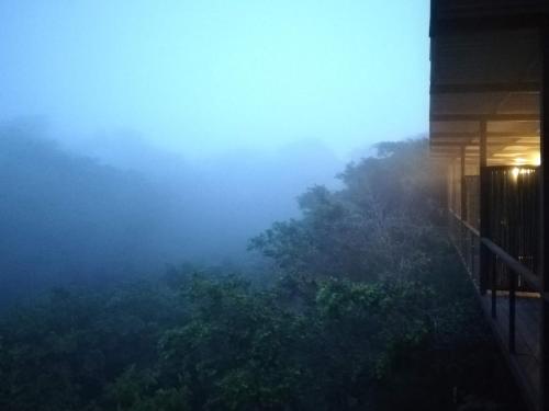 Фотография гостиницы Hotel Pibi Boreal