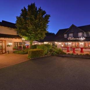 Фотографии гостиницы 
            Hotel Pfeffermühle