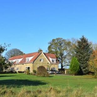 Фотография мини отеля Ticketyboo Suites