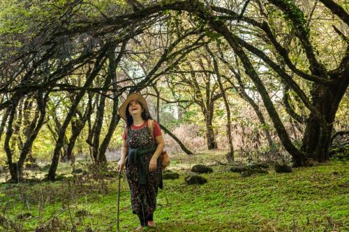 Фотографии гостевого дома
Ludwig Guesthouse