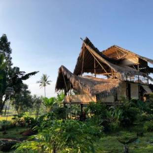 Фотографии мини отеля
Bamboo & B