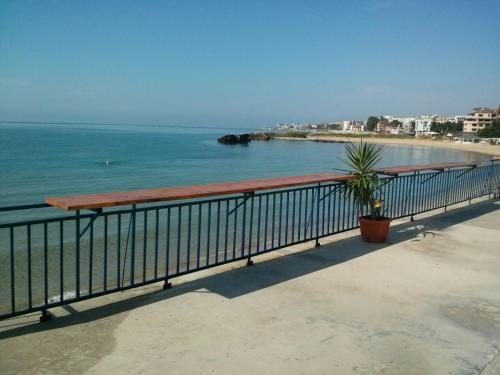 Фотография гостиницы Family Hotel Evridika