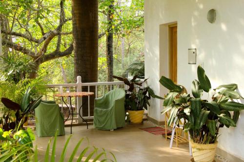 Фотография мини отеля Michèle's Garden