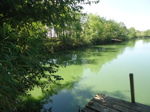 Фотография гостевого дома Club Haus am See