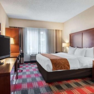 Фотография гостиницы Comfort Suites Near Vancouver Mall