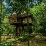 Фотография гостиницы Baan Khaosok Resort