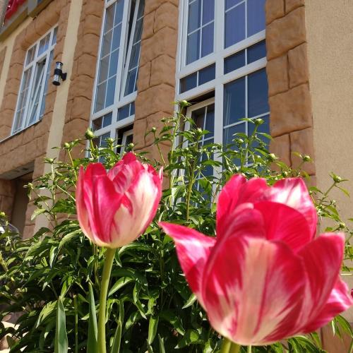 Фотография гостиницы Фараон