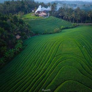 Фотографии гостевого дома 
            Bali Sesandan Garden