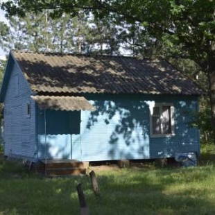 Фотография банкетного зала Дача Поддубного