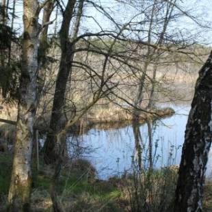 Фотографии гостевого дома
Hotel/Pension Rosengarten