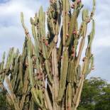 Фотография кемпинга Qji Glamping biohotel