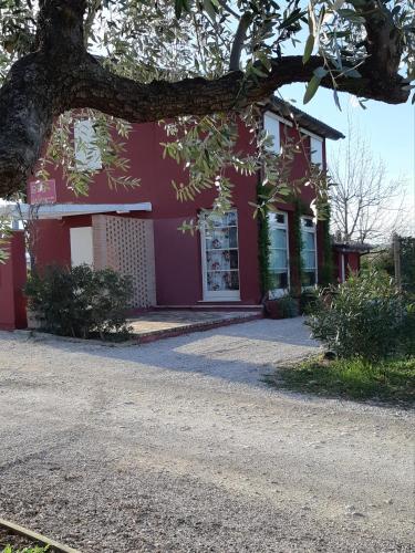 Фотография гостевого дома B&B Le Stagioni