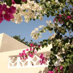 Фотографии гостиницы
Dabo House