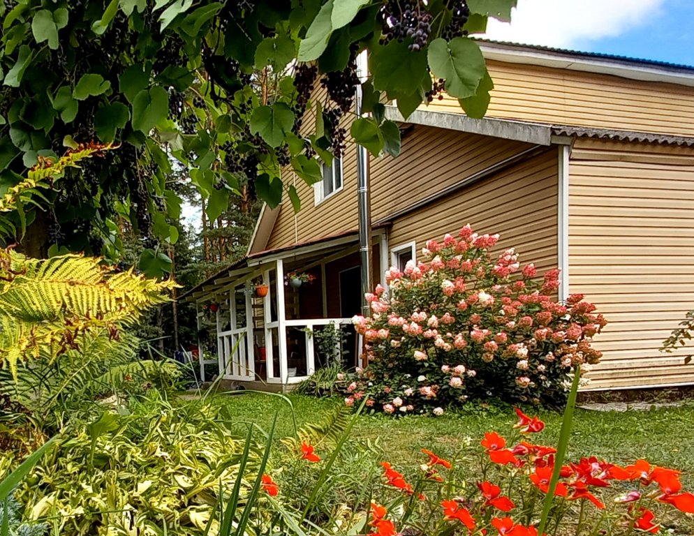 Фотография Коттеджа Дом у сосен