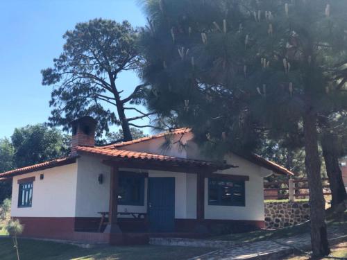 Фотография гостевого дома Cabañas Mazzatl 6 pax