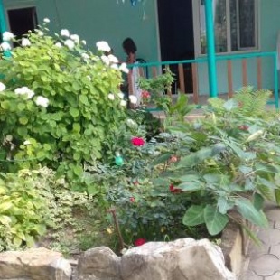 Фотография гостевого дома На улице Школьная