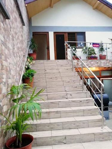 Фотография гостевого дома Vila Krystal