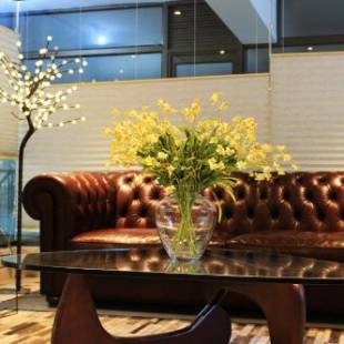 Фотографии гостиницы
Hotel Las Terrazas Business