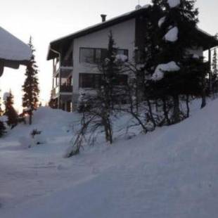 Фотографии гостевого дома
Holiday Home Villa ylläs 203