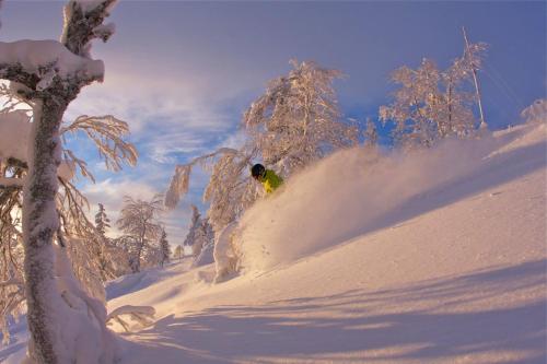 Фотография гостевого дома Pyhän Kortepuolukka