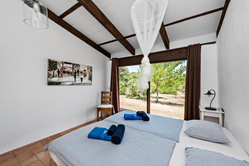 Фотография гостевого дома Casa Piscina