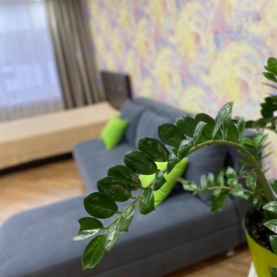 Фотография квартиры Апартаменты Diaday Irk 124