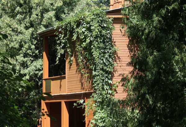 Фотография музея Дом-музей И.В. Мичурина